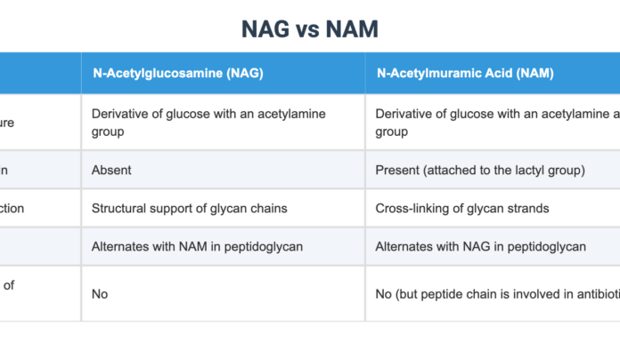 The Loneliness of Carrying the Mental Load: Feeling Like a Nag vs. Being a Manager
