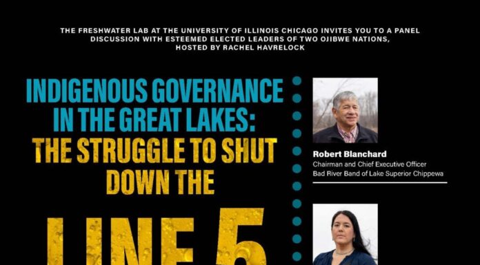 Indigenous Feminism: The Struggle Against the Line 5 Pipeline