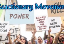 The Reactionary Politics of the “LGB Drop the T” Movement