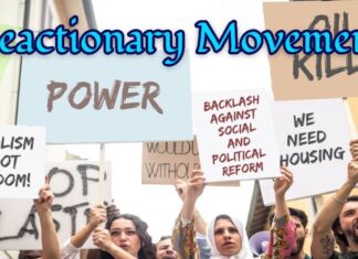 The Reactionary Politics of the “LGB Drop the T” Movement