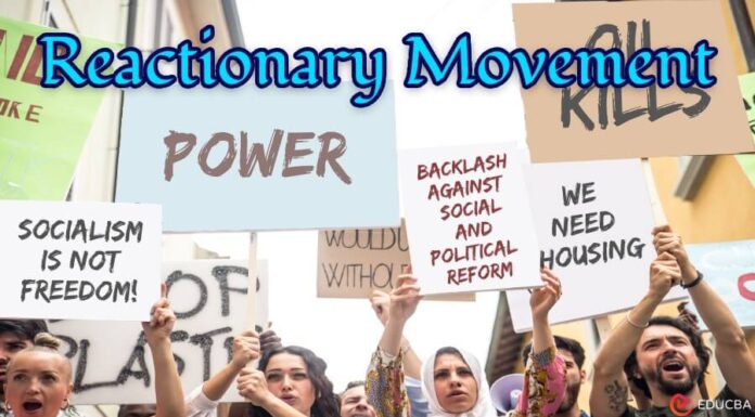 The Reactionary Politics of the “LGB Drop the T” Movement