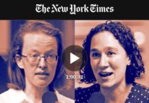 Environmental Feminism: The Gendered Politics of Garbage