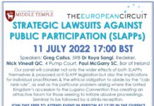 The Use of Strategic Lawsuits Against Public Participation (SLAPPs) to Silence Survivors