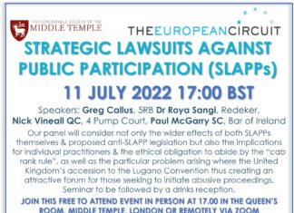 The Use of Strategic Lawsuits Against Public Participation (SLAPPs) to Silence Survivors