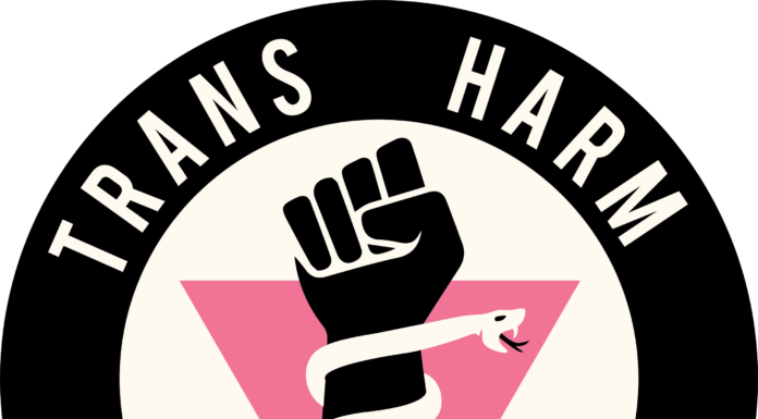 The International Track Record of Trans-Inclusive Policy and Decreased Harm