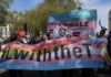 The Mistaken Science of Brain Sex: Why Neurosexism Fails Both Feminism and Trans Rights
