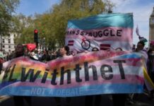 The Mistaken Science of Brain Sex: Why Neurosexism Fails Both Feminism and Trans Rights