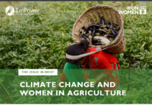 How Climate Change Affects Workplace Safety for Women (Agriculture Service Migration)