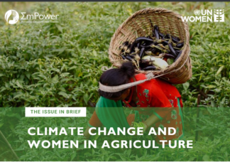 How Climate Change Affects Workplace Safety for Women (Agriculture Service Migration)
