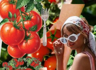 The “Tomato Girl” Summer and the Pressure to Be a Content Aesthetic