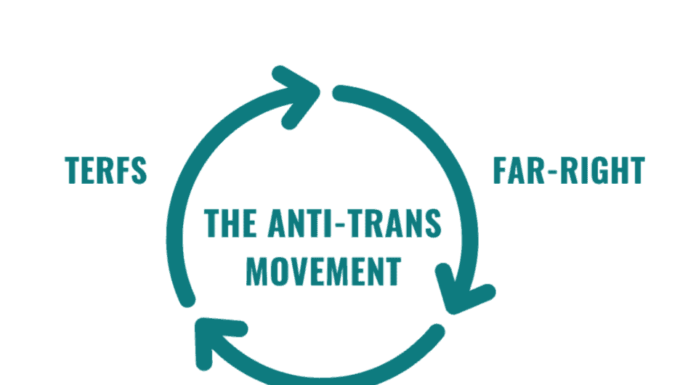 The Comparative Analysis of the Anti-Trans Movement and Anti-Abortion Playbooks
