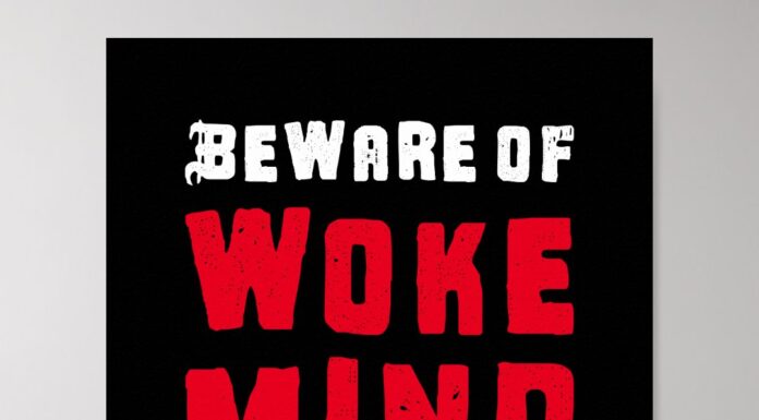 Your Little Brother Thinks Woke is a Mind Virus He Learned It on Twitch
