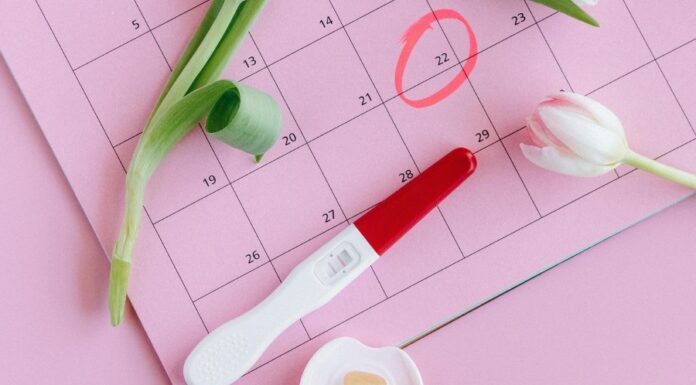 Reproductive Justice: The Intersection of Race Class and Fertility