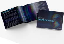 The Geopolitics of Digital Exploitation: State-Sponsored Cyber Harassment