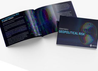 The Geopolitics of Digital Exploitation: State-Sponsored Cyber Harassment