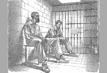The Jailhouse Informant Scandal in Gendered Violence Cases