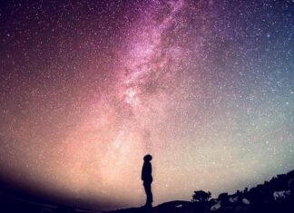 The Manosphere: Turning Loneliness into Lucrative Content Since 2014