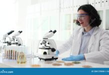 The Scientist Whose Discovery Was Credited to a Man