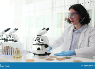 The Scientist Whose Discovery Was Credited to a Man