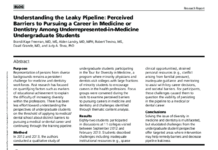The “Leaky Pipeline” in Tech Law and Academia: Systemic Retention Failures