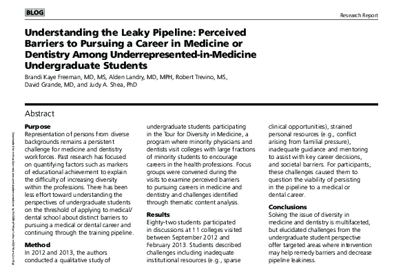 The “Leaky Pipeline” in Tech Law and Academia: Systemic Retention Failures