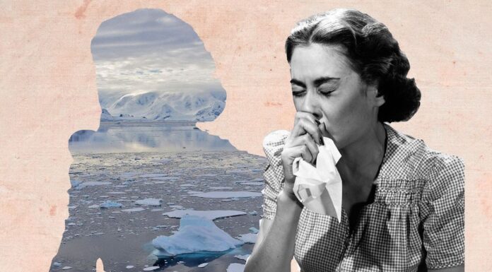 Climate Grief is Real So is Eco-Anxiety Women Carry It