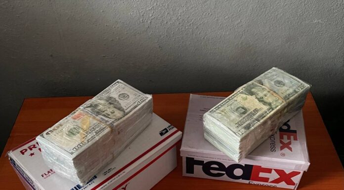 The Money is Fake