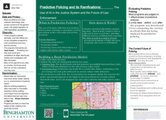 Predictive Policing Algorithms and the Perpetuation of Gendered Racial Profiling