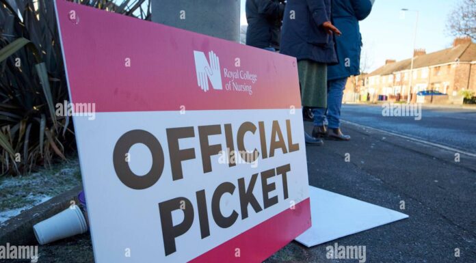The Strike Captain on the Picket Line