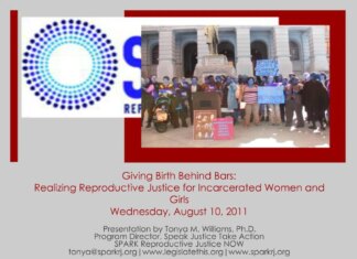 Reproductive Justice: The Incarcerated Mother Giving Birth in Shackles