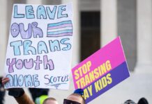 The Carceral Feminism Trap: Why Working with the State Against Trans People Backfires