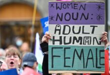 The Misogynistic Roots of TERF Island: How UK Media Created a Toxic Export