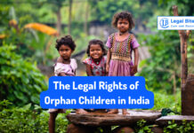 Nationality Rights: The Legal Orphan