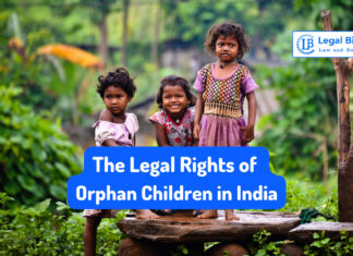 Nationality Rights: The Legal Orphan