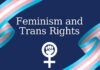 The Right to Exist in Public: Feminism’s Fight for Trans Street Safety