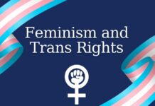 The Right to Exist in Public: Feminism’s Fight for Trans Street Safety