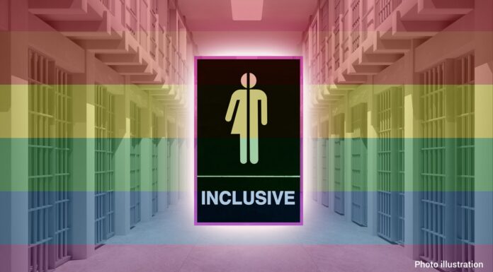 The Abolitionist Approach to Gendered Prisons and Trans Rights