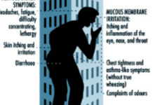 The Role of Scent Policies and Sick Building Syndrome on Women’s Health at Work