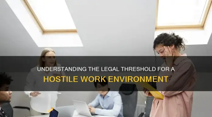 The Hostile Work Environment Standard: When Sexism Becomes a Legal Case