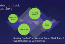 The Centering of Joy: Trans Euphoria as a Feminist Principle
