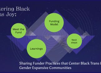 The Centering of Joy: Trans Euphoria as a Feminist Principle